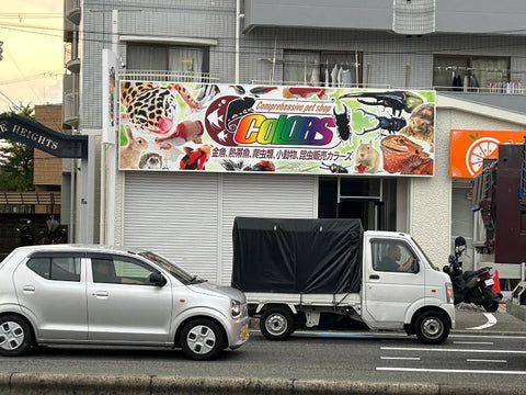 ペットショップ COLORS 藤井寺店と申しますm(._.)m